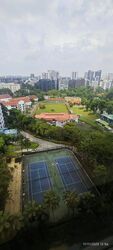Ardmore Park (D10), Condominium #502964981